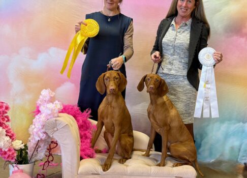 Brag & Wag: January Wins at Evelyn Kenny Kennel & Obedience Club