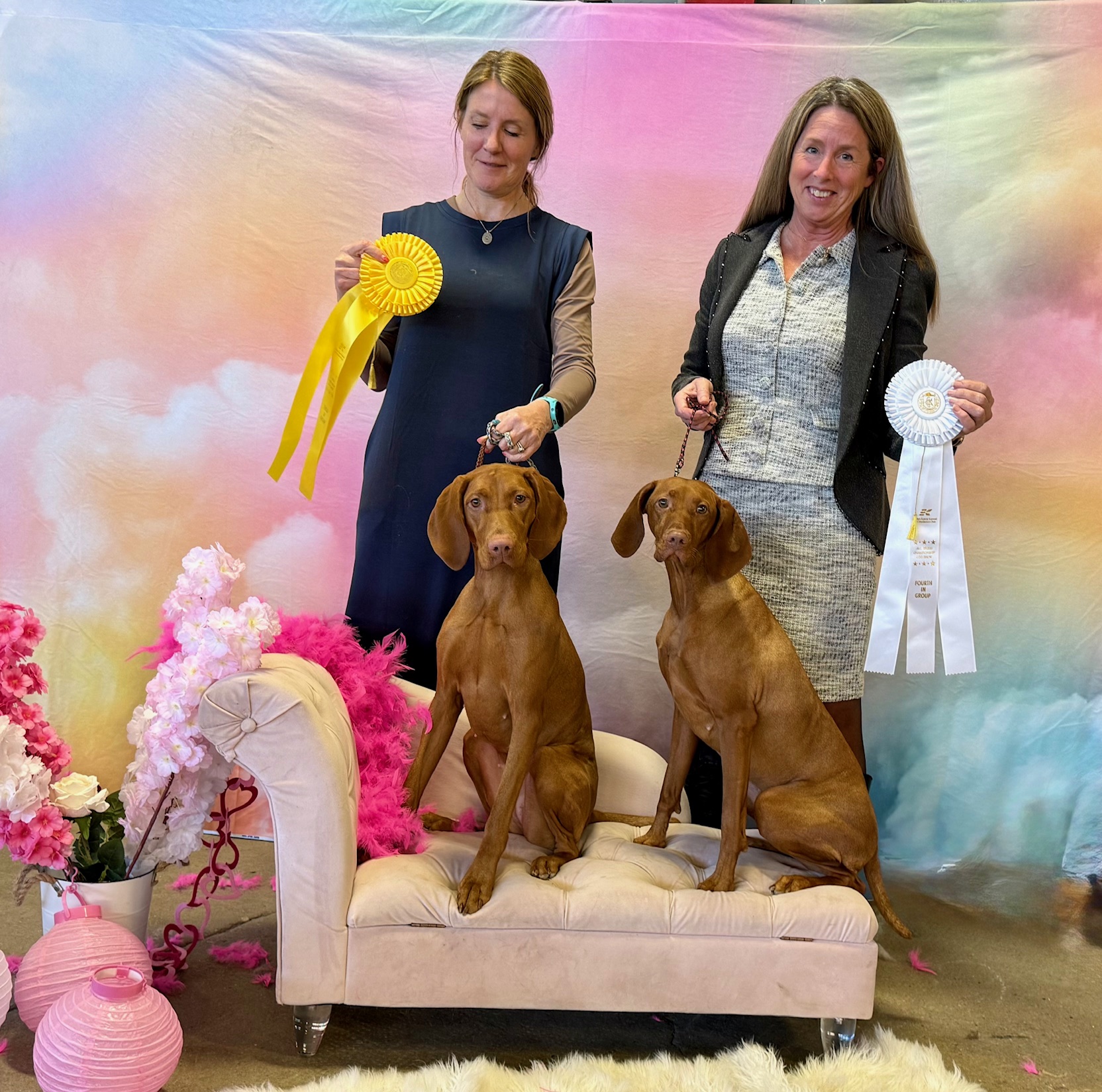 Brag & Wag: January Wins at Evelyn Kenny Kennel & Obedience Club
