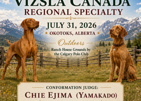 What Is a Regional Specialty and Why Does It Matter?