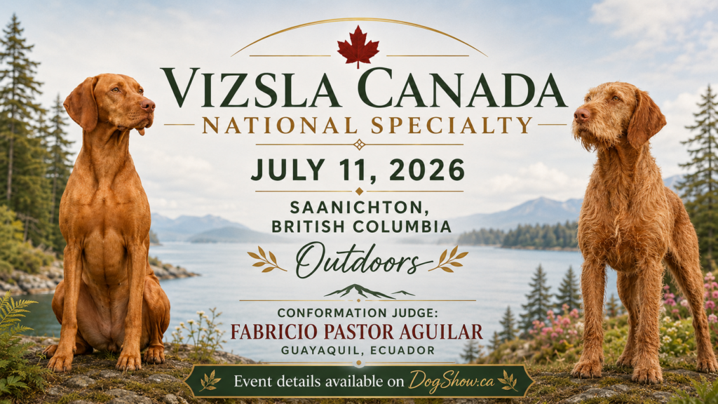Vizsla Canada National Speciality, July 11 2026