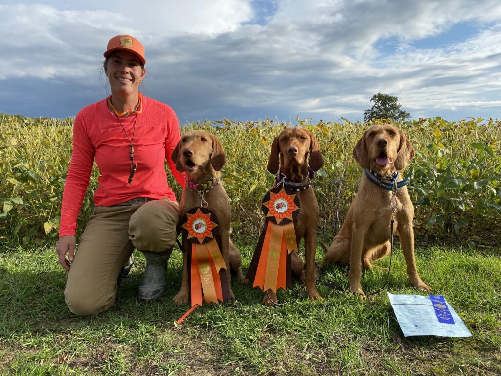 Wirehaired Vizslas CKC Titles