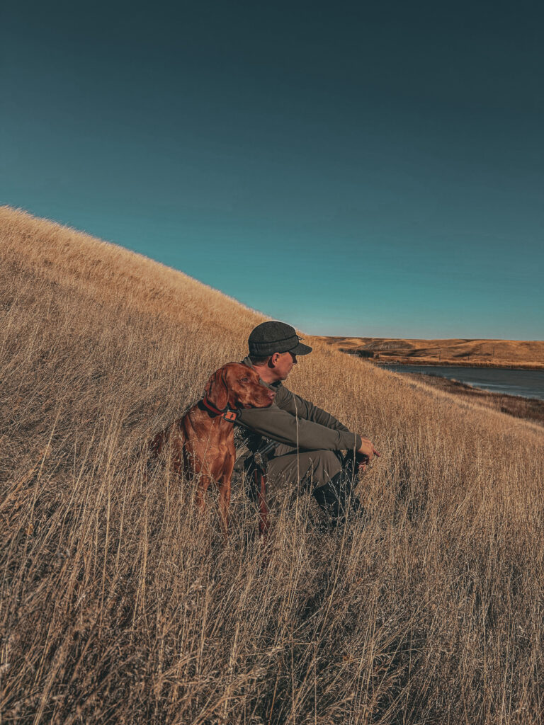 A Vizsla works in tall grass beside a handler in field gear, highlighting the breed’s hunting heritage, partnership, and purpose in the field.
