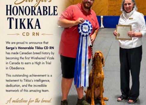 Brag & Wag: Sarga’s Honorable Tikka Makes Canadian Breed History