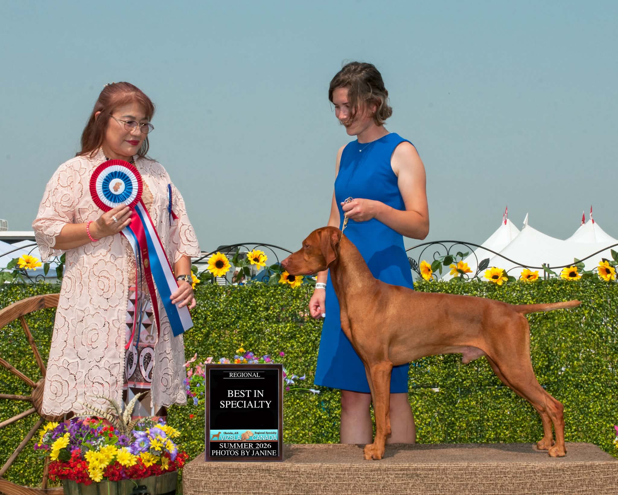 More Than the Ribbons: Celebrating the 2026 Vizsla Canada Regional Specialty