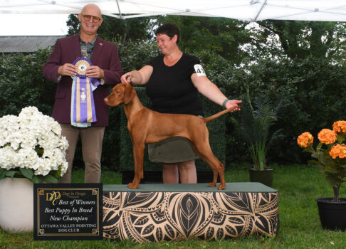 BRAG & WAG: A BIG START FOR LOLA! 