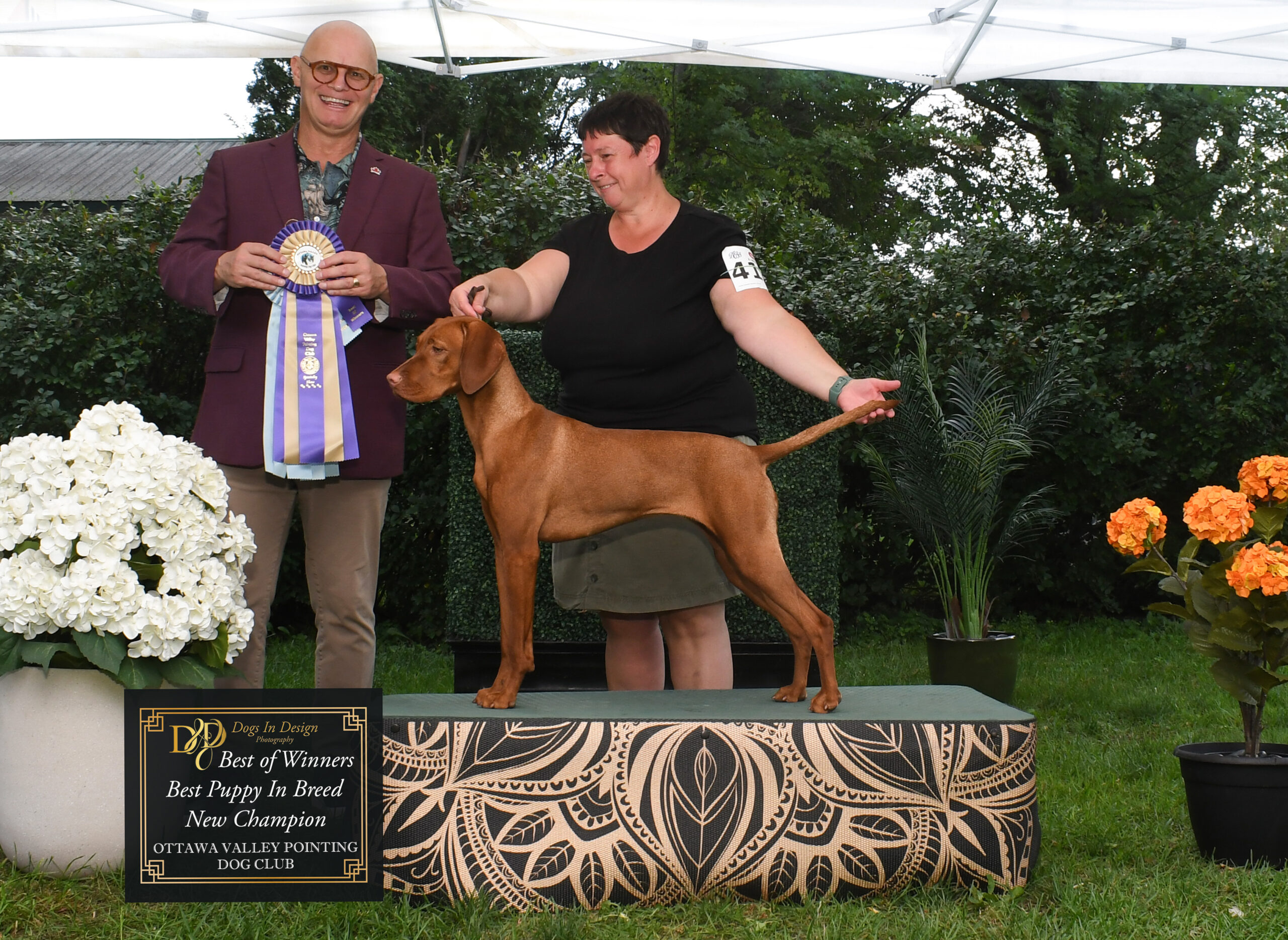 BRAG & WAG: A BIG START FOR LOLA! 